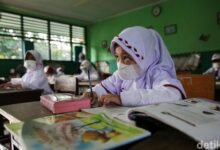 PPDB SD Jakarta 2025: Pahami Jalur Afirmasi & Domisili