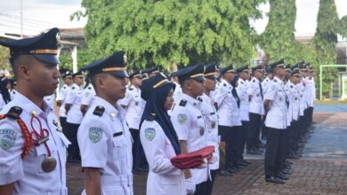 Pendaftaran STMKG 2025: Jadwal Resmi & Strategi Sukses