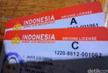 Perpanjang SIM Mati? Biaya & Syarat Mudah, Tanpa Bikin Baru