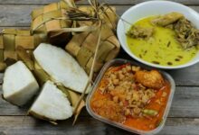 Rahasia Dokter: Nikmati Opor Ketupat Lebaran Tanpa Tambah Berat Badan