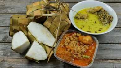 Rahasia Dokter: Nikmati Opor Ketupat Lebaran Tanpa Tambah Berat Badan