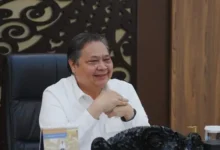 Sistem Tracing Sawit: Kunci Dominasi Pasar Global Indonesia
