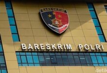 Terungkap! Kasus Fantasi Sedarah: Update Terbaru Penangkapan Pelaku
