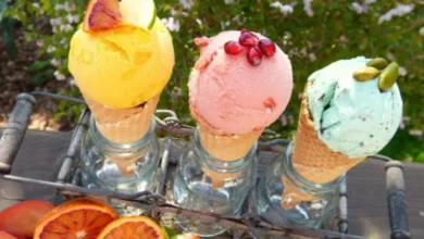 Es Krim Buah Lembut: 5 Trik Mudah Anti Gagal di Rumah