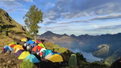 Fiersa Besari Ungkap Masalah Booking Kemah: Komunikasi & Tanggung Jawab Operator