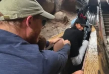 Harry & Meghan: Disneyland, Kenangan Manis Bareng Anak & Diana