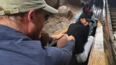 Harry & Meghan: Disneyland, Kenangan Manis Bareng Anak & Diana