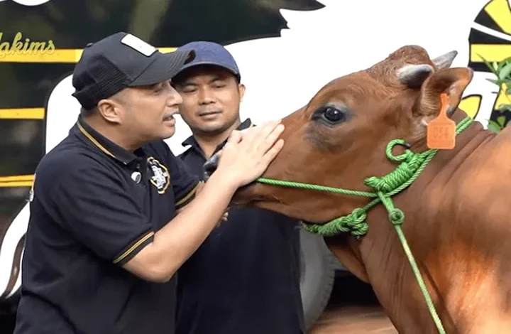 Idul Adha 2025: 5 Artis Kurban Sapi Raksasa, No 3 Mengejutkan!