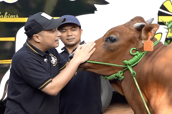 Idul Adha 2025: 5 Artis Kurban Sapi Raksasa, No 3 Mengejutkan!