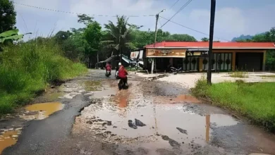Jalan Rusak Salopa-Cikatomas: Derita Warga Tasikmalaya Memprihatinkan