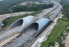 Jembatan Satwa IKN: Rp2,6 Triliun, Termahal di Indonesia?