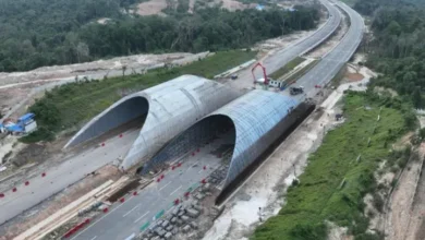 Jembatan Satwa IKN: Rp2,6 Triliun, Termahal di Indonesia?