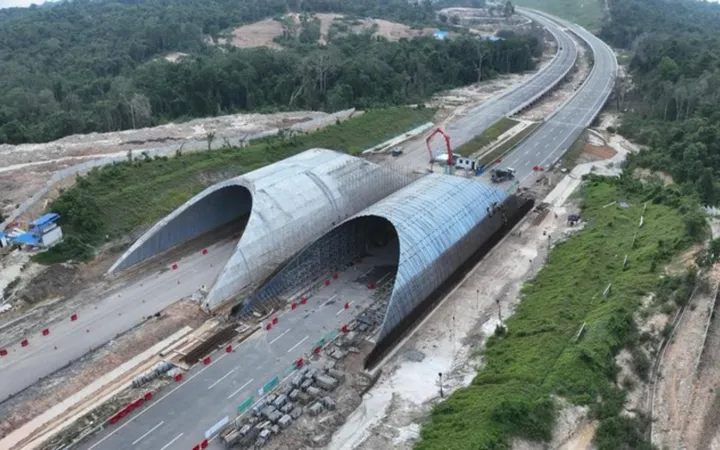 Jembatan Satwa IKN: Rp2,6 Triliun, Termahal di Indonesia?