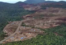 Kejagung Selidiki Tambang Ilegal Nikel Raja Ampat?