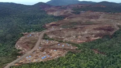 Kejagung Selidiki Tambang Ilegal Nikel Raja Ampat?