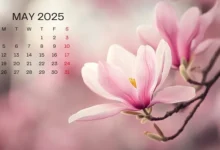 Libur Panjang Mei 2025: 4 Hari Piknik, Rencanakan Sekarang!
