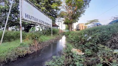 Limbah B3 Karawang mencemari saluran dekat hutan kota: Investigasi!