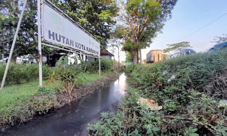 Limbah B3 Karawang mencemari saluran dekat hutan kota: Investigasi!