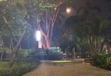 Misteri Taman Langsat: Benarkah Tempat Mesum? Fakta Mengejutkan!