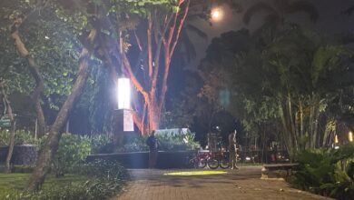Misteri Taman Langsat: Benarkah Tempat Mesum? Fakta Mengejutkan!
