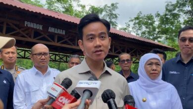 Nasib Pemakzulan Gibran: DPR Segera Bahas? Kapan?