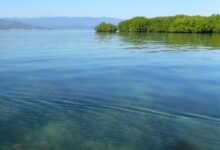 Pulau Indonesia Dijual Online? DPR Desak Hukum Tegas!