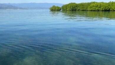 Pulau Indonesia Dijual Online? DPR Desak Hukum Tegas!
