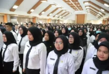 Rahasia Kode L, L2, R3B: Pengumuman PPPK Tahap 2 2025 Resmi!