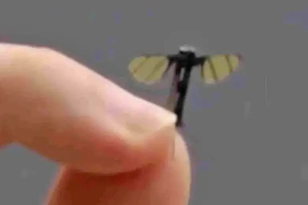 Drone Mikro Cina: Nyamuk Mata-mata untuk Misi Rahasia?