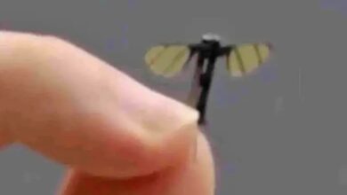 Drone Mikro Cina: Nyamuk Mata-mata untuk Misi Rahasia?
