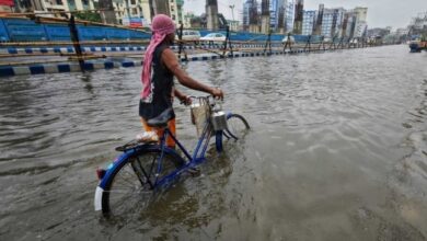 Iklim Krisis: Negara Wajib Lindungi HAM, Putusan Pengadilan